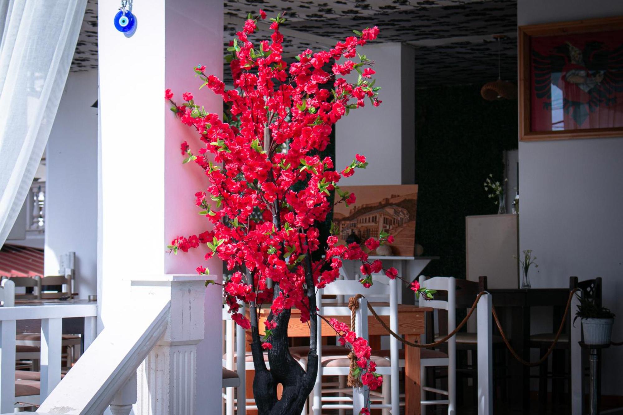 סרנדה Hotel Fron מראה חיצוני תמונה