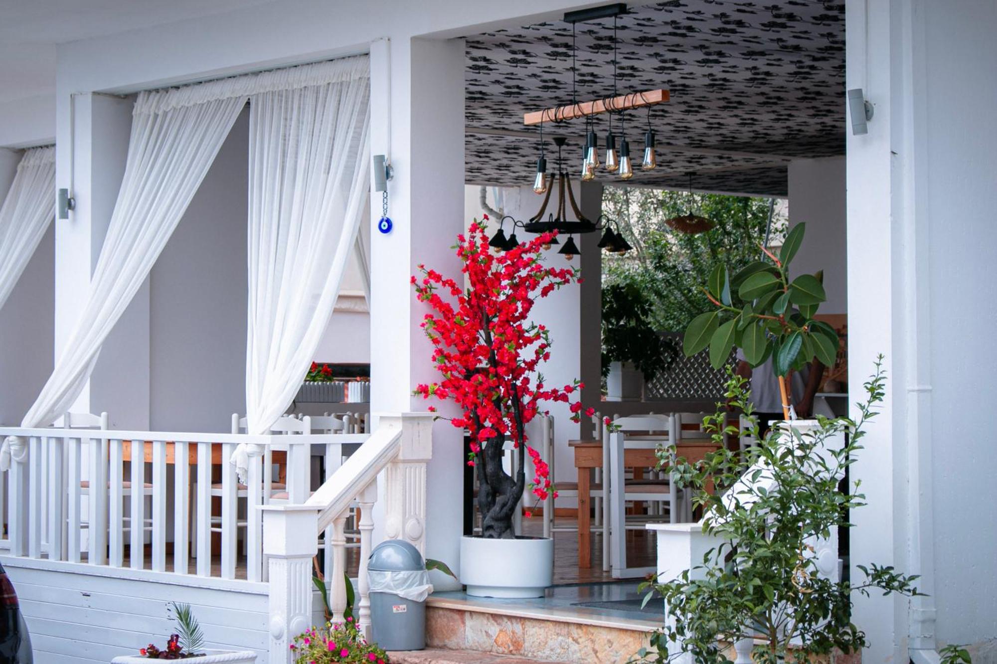 סרנדה Hotel Fron מראה חיצוני תמונה