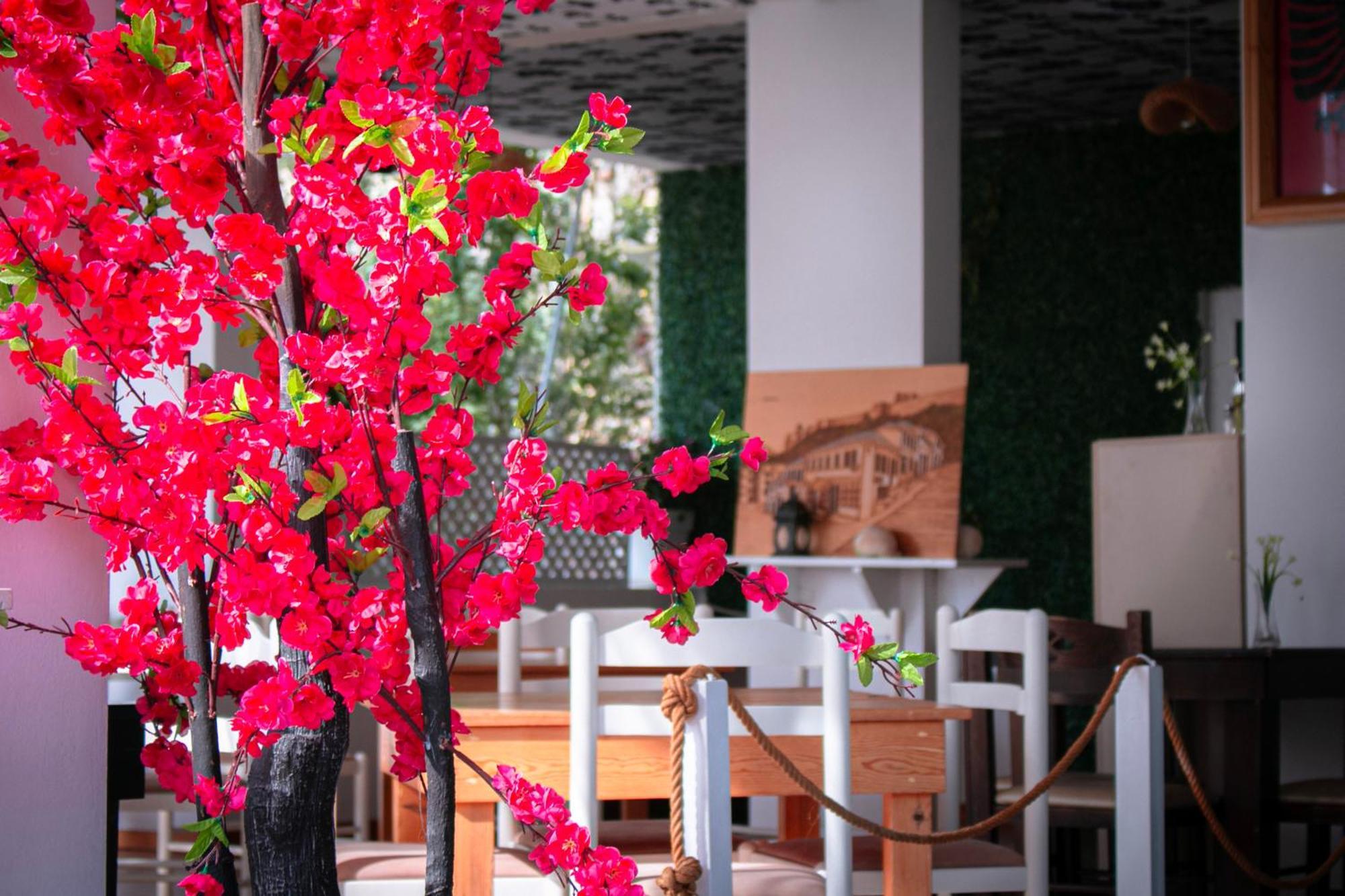 סרנדה Hotel Fron מראה חיצוני תמונה